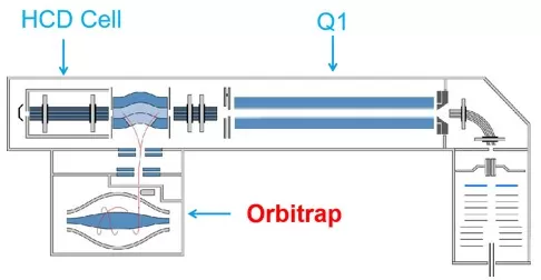 Quadrupole–Orbitrap (Orbitrap) LC–MS